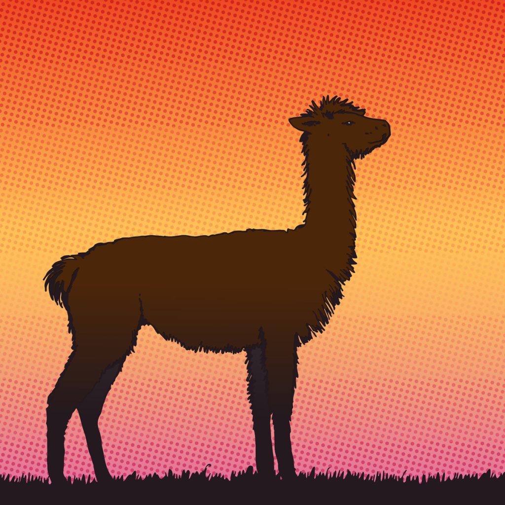 silhouet van een alpaca met op de achtergrond een opkomende zon