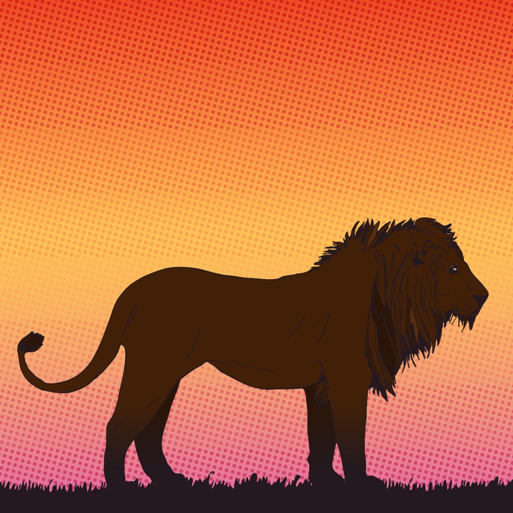 silhouet van een leeuw met op de achtergrond een opkomende zon