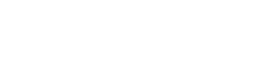 solidwp logo
