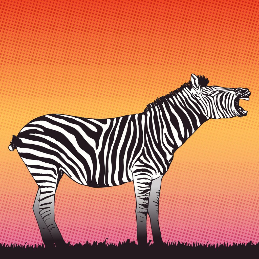 Zwartwit-gestreepte zebra die schreeuwt