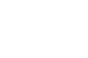 WordPress Nederland 2023 wordmerk met hashtag